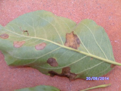 BILD0047.JPG