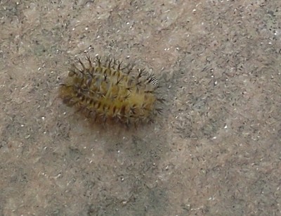 IMG069.jpg