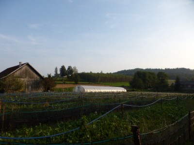 P1020529.JPG