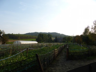 P1020530.JPG