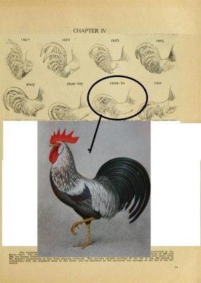 1137379776.jpg