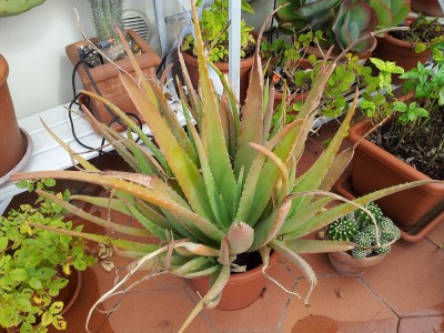 20141011_141201.jpg