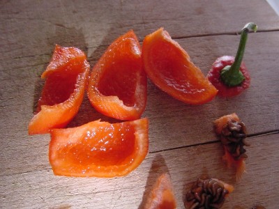 rocotoredspicchi.JPG