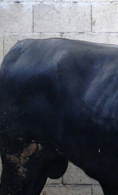 20141228_154944-1-1.jpg