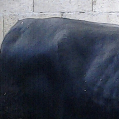 20141228_154944-1-1-1.jpg