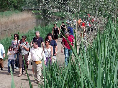 Visita guidata Riserva Naturale Padule di Fucecchio.JPG