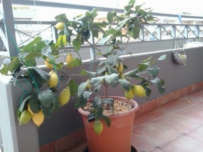 2015-03-07 13.36.37.jpg