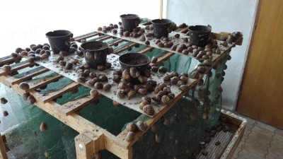 3.jpg (252.71 KiB) Osservato 1245 volte 3.jpg