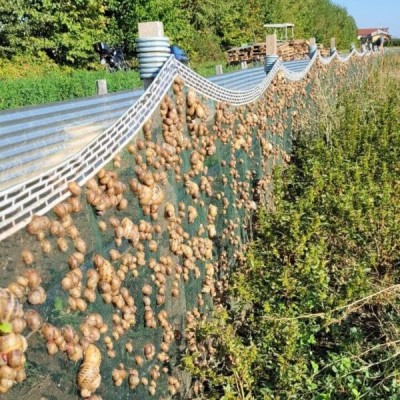 rete-per-lumache-spiranet-electro-lumache-su-rete-antifuga.jpg (133.66 KiB) Osservato 2879 volte rete-per-lumache-spiranet-electro-lumache-su-rete-antifuga.jpg