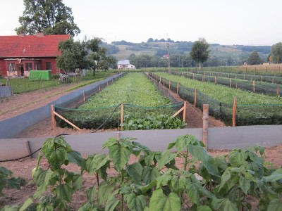 recinti esterni / luglio 2013 026 (Copia).jpg luglio 2013 026 (Copia).jpg