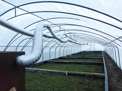 tunnel / P1010795 (Copia).JPG P1010795 (Copia).JPG