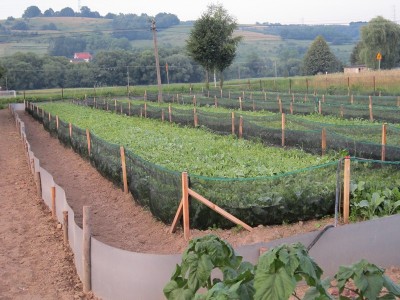 luglio 2013 023 (Copia).jpg (167.42 KiB) Osservato 1555 volte luglio 2013 023 (Copia).jpg