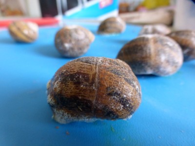 (8) / P1020424.JPG P1020424.JPG