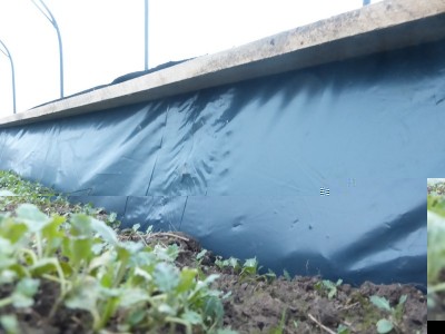 P1010797 (Copia).JPG (98.66 KiB) Osservato 1111 volte P1010797 (Copia).JPG