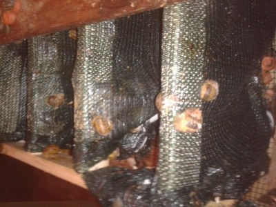 2015-03-15 18.32.09.jpg (244.51 KiB) Osservato 1164 volte 2015-03-15 18.32.09.jpg