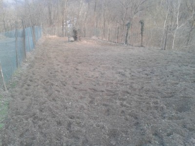 2015-03-13 17.14.57.jpg (256.29 KiB) Osservato 1164 volte 2015-03-13 17.14.57.jpg