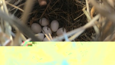 IMG_20151016_105730.jpg (43.05 KiB) Osservato 4284 volte IMG_20151016_105730.jpg