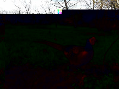 20150405_165416 - Copia.jpg (377.16 KiB) Osservato 982 volte 20150405_165416 - Copia.jpg