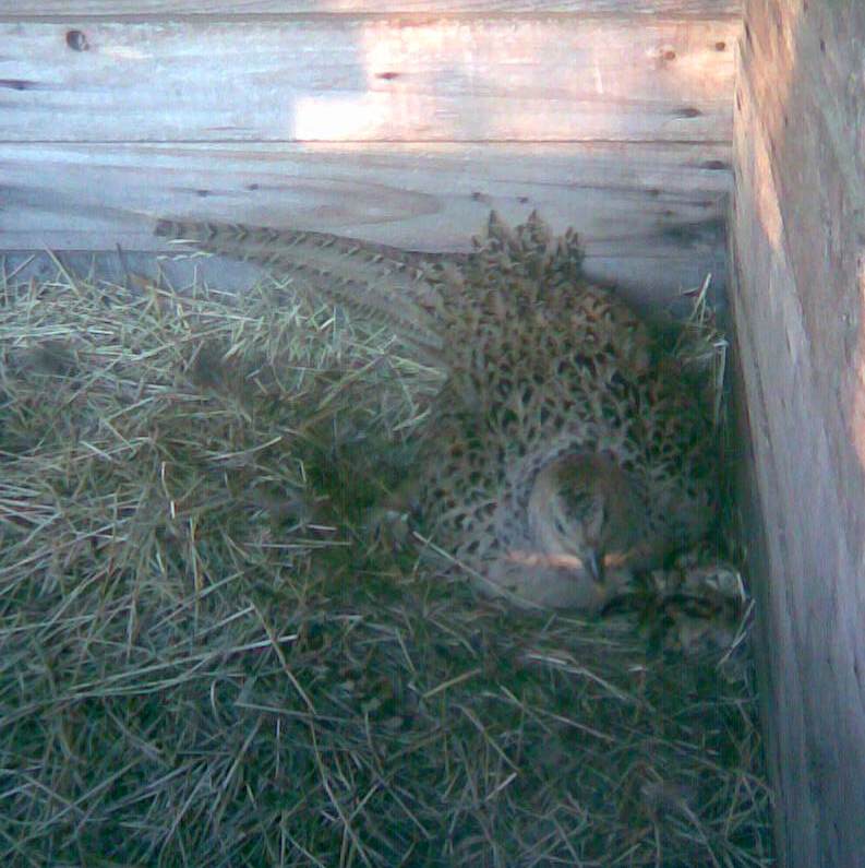 Immag000.jpg Immag000.jpg