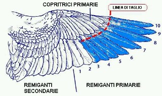 vhsrcx-320x190.jpg vhsrcx-320x190.jpg