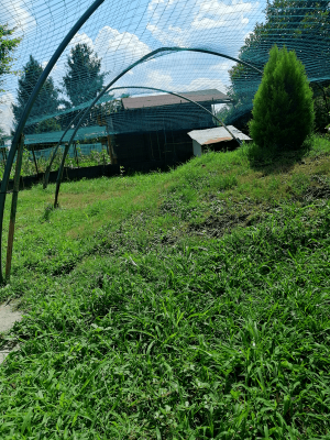 IMG_20210729_152712-min.png (358.49 KiB) Osservato 1808 volte IMG_20210729_152712-min.png