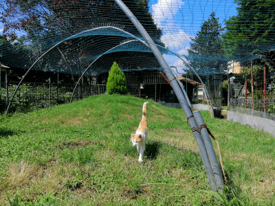 IMG_20210729_152736-min.png (343.94 KiB) Osservato 1808 volte IMG_20210729_152736-min.png