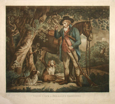 art7.jpg (81.08 KiB) Osservato 1047 volte art7.jpg