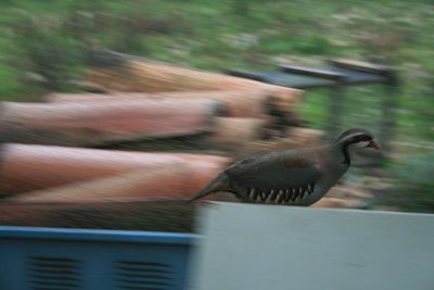 14.JPG (47.79 KiB) Osservato 1555 volte 14.JPG