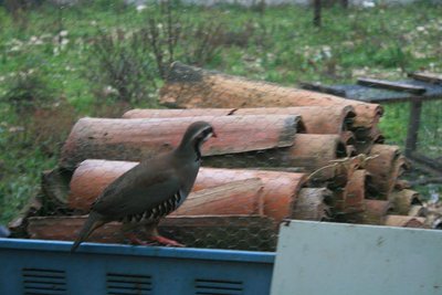 15.JPG (68.99 KiB) Osservato 1555 volte 15.JPG