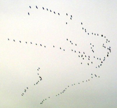 woauuuuuu / 050320121088.jpg 050320121088.jpg