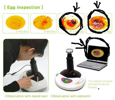 r com ingannevole.jpg (92.47 KiB) Osservato 1558 volte r com ingannevole.jpg