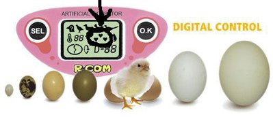 rcom..display.jpg (24.22 KiB) Osservato 1557 volte rcom..display.jpg