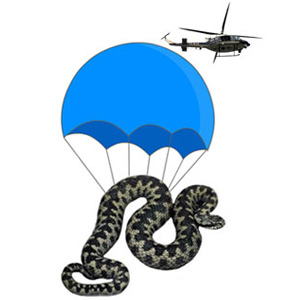 viper2.jpg viper2.jpg