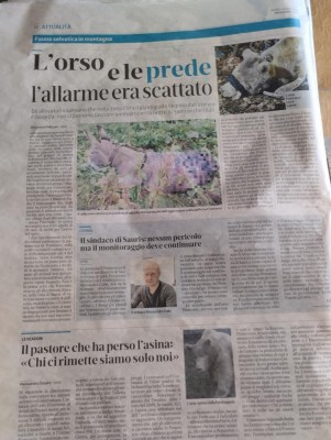 IMG_20230718_145456.jpg (127.62 KiB) Osservato 2269 volte IMG_20230718_145456.jpg