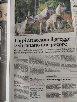 IMG_20230827_113439.jpg (149.39 KiB) Osservato 6322 volte IMG_20230827_113439.jpg