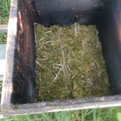 IMG_20240414_174839_393.jpg (80.64 KiB) Osservato 2202 volte IMG_20240414_174839_393.jpg