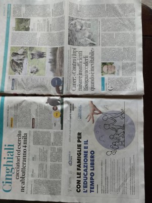 IMG_20240423_092948.jpg (125.67 KiB) Osservato 1941 volte IMG_20240423_092948.jpg