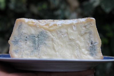 gorgo pezzata-bufala-podolica taglio.jpg (44.27 KiB) Osservato 2426 volte gorgo pezzata-bufala-podolica taglio.jpg