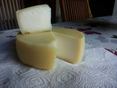 index.jpeg (64.74 KiB) Osservato 2293 volte index.jpeg