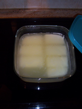 100_0703.jpg 100_0703.jpg