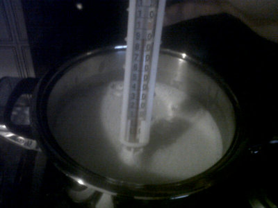 Latte a 92 gradi. / 11b.jpg 11b.jpg