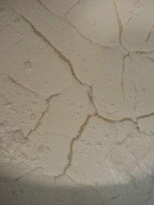 20130426_091336.jpg (21.41 KiB) Osservato 2448 volte 20130426_091336.jpg