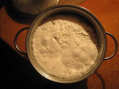 l'attacco dei coli / IMG_2237.JPG IMG_2237.JPG