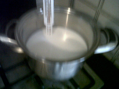 Riscaldamento latte a 32 gradi. / 000.jpg 000.jpg