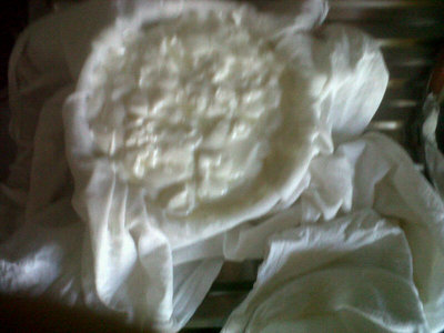 Messa in tela. / 71.jpg 71.jpg