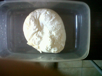 Come si presenta la cagliata dopo lo sgrondo. / 73.jpg 73.jpg