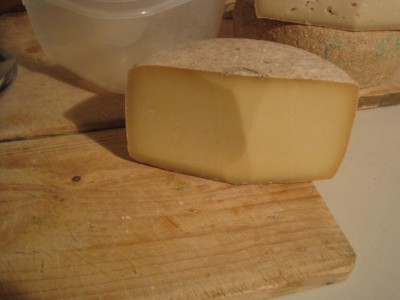 stagionato vacca quasi 4mesi / vr 3.9.13.JPG vr 3.9.13.JPG