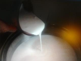 Inoculo lattoinnesto 30 grammi. / 1002.jpg 1002.jpg