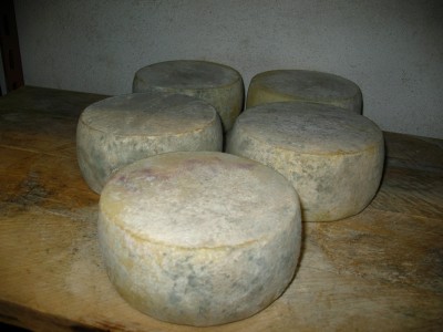 IMG_1346.jpg (266.01 KiB) Osservato 2160 volte IMG_1346.jpg