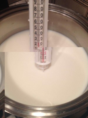 4.jpg (34.91 KiB) Osservato 4524 volte 4.jpg